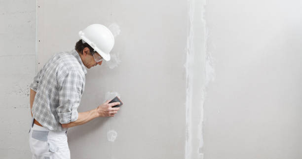 Best Real Estate Mold Inspection  in Sauk Rapids, MN