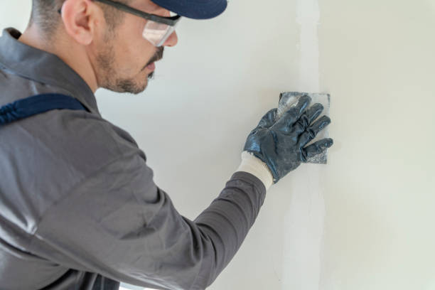 Mold Documentation for Insurance Claims in Sauk Rapids, MN