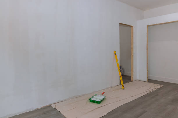 Reliable Sauk Rapids, MN Mold Removal Solutions