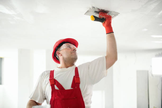 Best Basement Mold Removal  in Sauk Rapids, MN