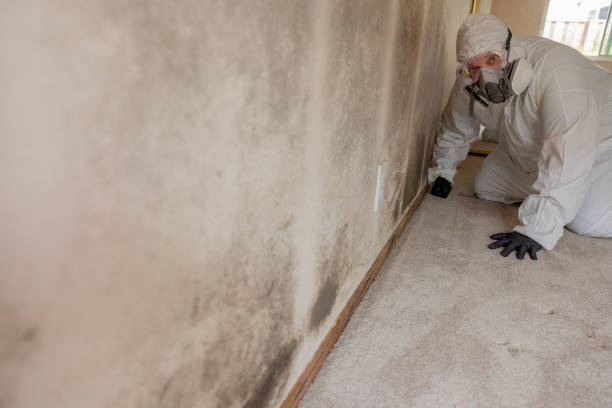 Best Asbestos and Lead Testing During Mold Inspection  in Sauk Rapids, MN