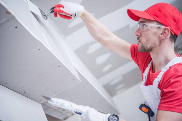 Best Attic Mold Removal  in Sauk Rapids, MN